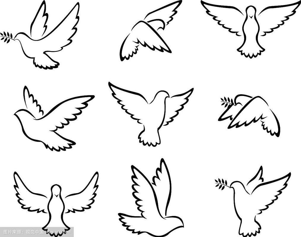 和平鸽的标志为和平的概念和