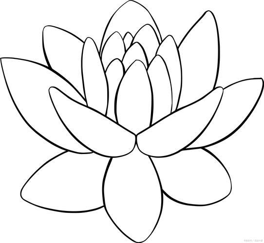 荷花简笔画怎么画