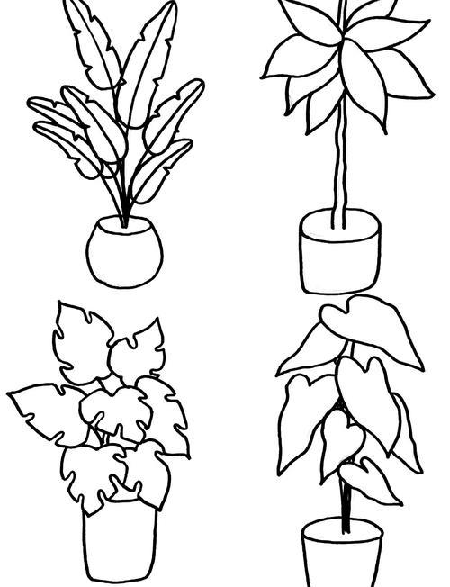 大叶盆栽简笔画教程