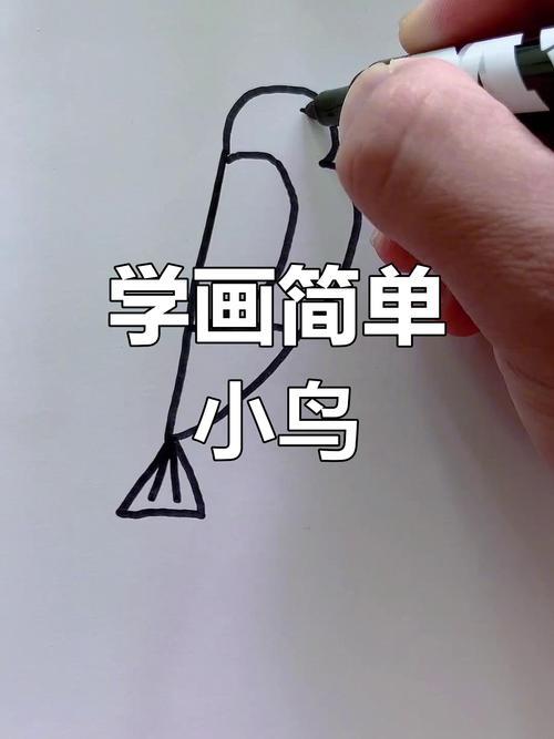 零基础亲子简笔画教程学画可爱小鸟