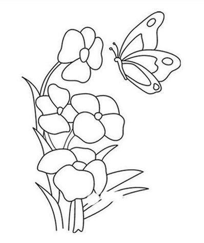 蝴蝶花的简笔画画法