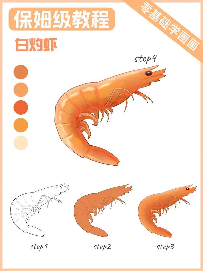 绘画教程简单步教你画白灼虾