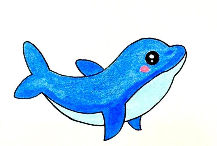 可爱海豚简笔画教程