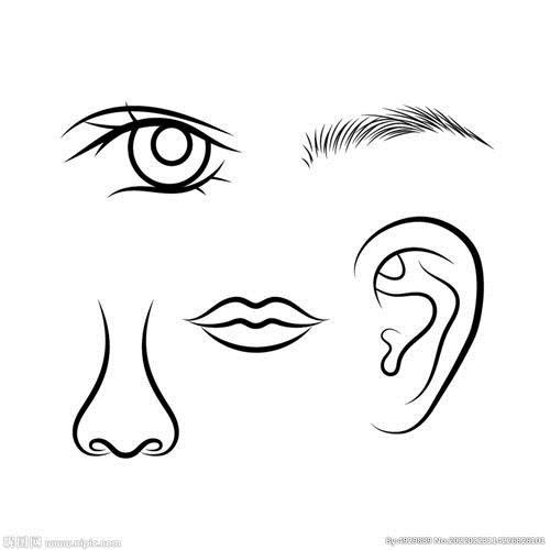 键词眼睛耳朵嘴巴鼻子五官鼻子矢量图鼻子手绘鼻子简笔