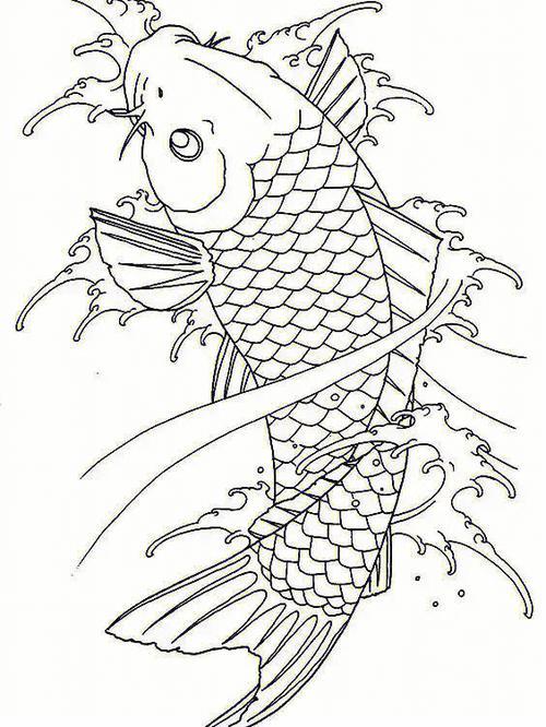 鲤鱼线稿图