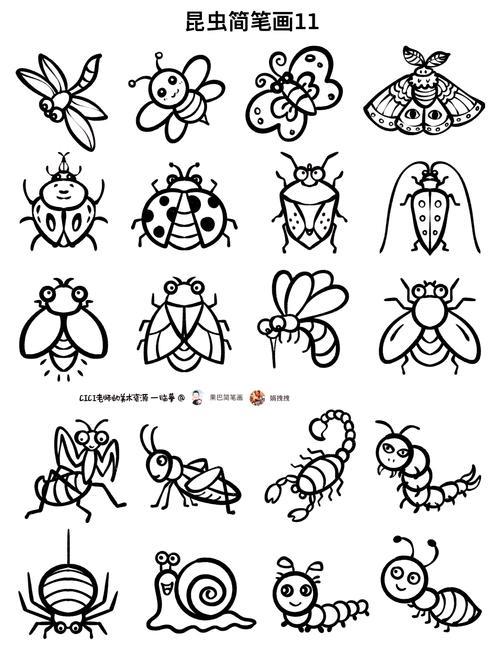 昆虫世界探秘简笔画