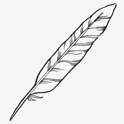 羽毛简笔画