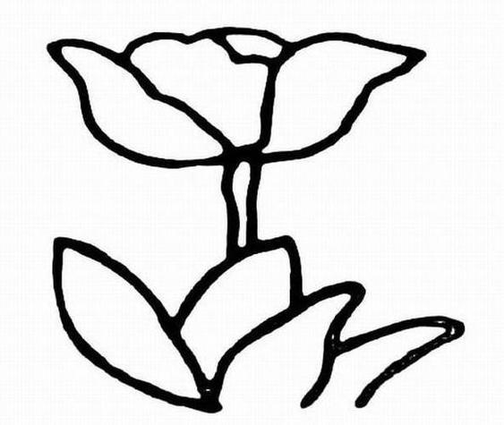 枯萎的小花简笔画