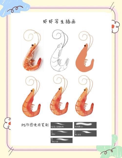 零基础也能学会虾插画写生全步骤