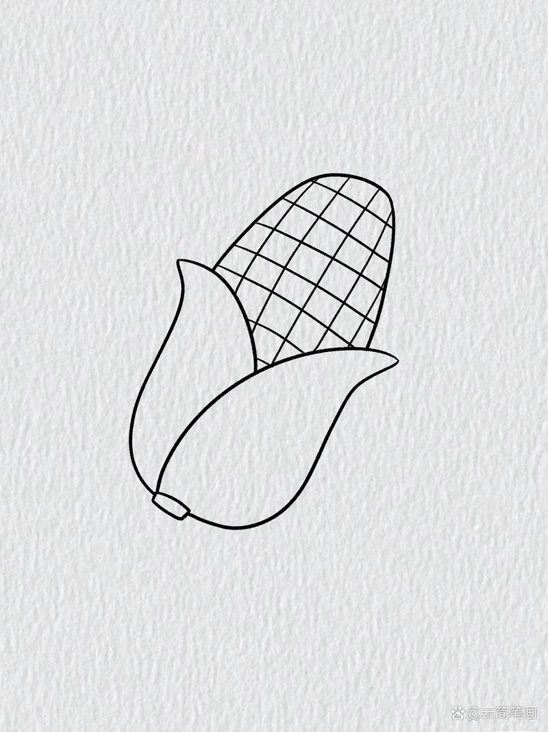 玉米简笔画教程步骤图