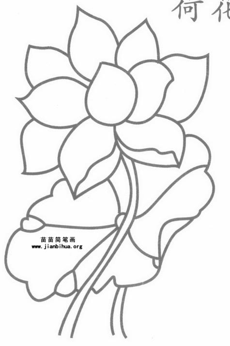 莲花花纹简笔画