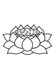 黑笔花共526个结果