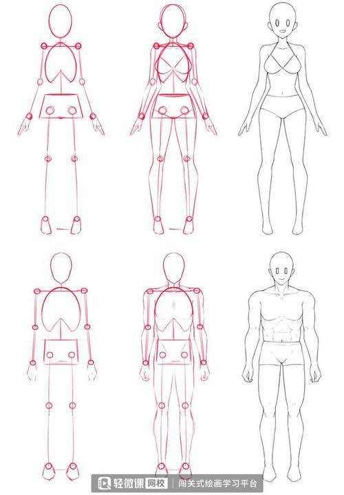 零基础画动漫人体步骤教程