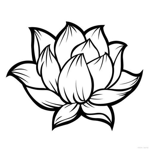 一笔一画勾勒清雅莲花简笔画教程