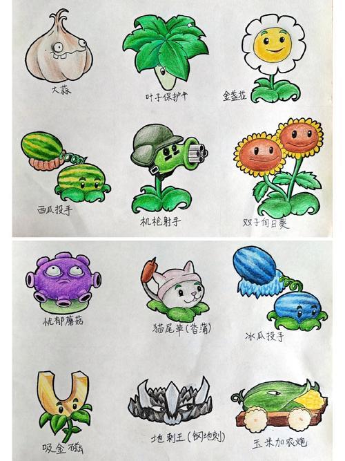 植物大战僵尸怎么画简笔画