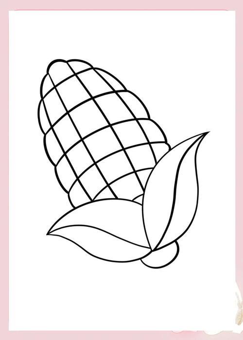 玉米简笔画教程从零开始画玉米