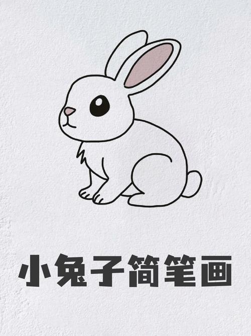 小兔子简笔画前两天带着孩子买了个兔子喜欢的不行每天都要陪兔子