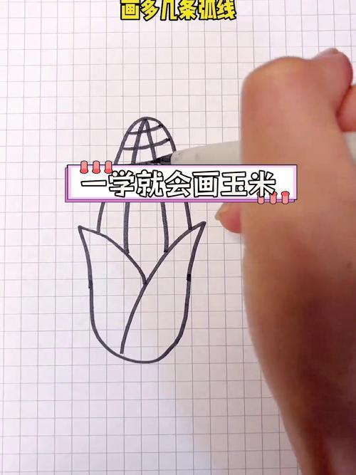 简单玉米简笔画教程轻松学会
