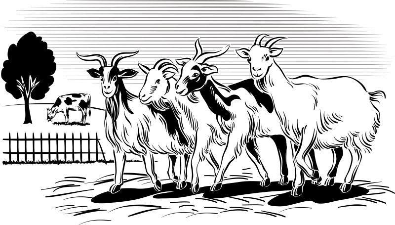 创意矢量卡通农场中的牛插图图片素材矢量农场里的动物插画素材eps