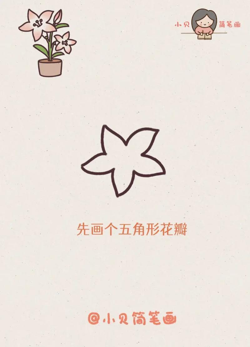 简笔画百合花教程图文伙伴计划2024百合花简笔画抖音