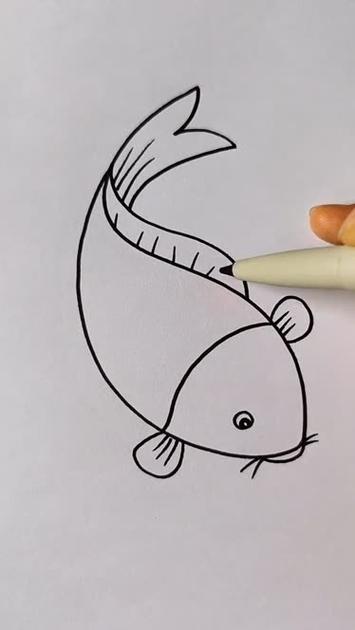 用s画大鲤鱼简笔画