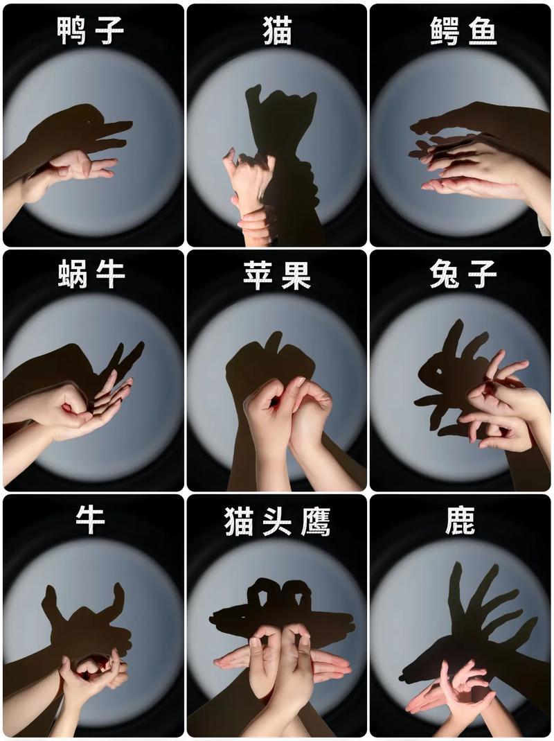 创作灵感记录童年时光趣味儿童手影游戏快关上灯跟宝抖音