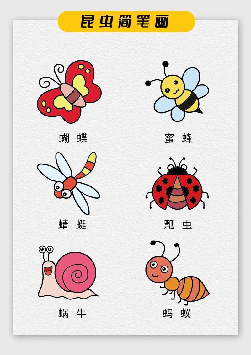 昆虫简笔画教程