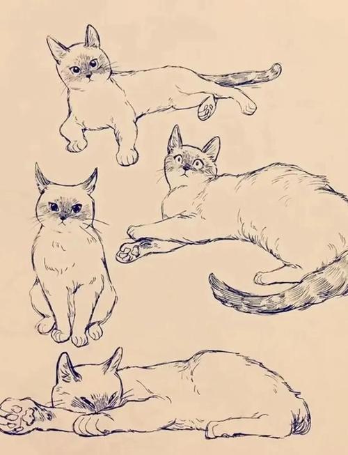 猫咪简笔画教程来啦