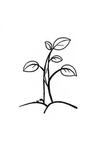 发芽的小树简笔画