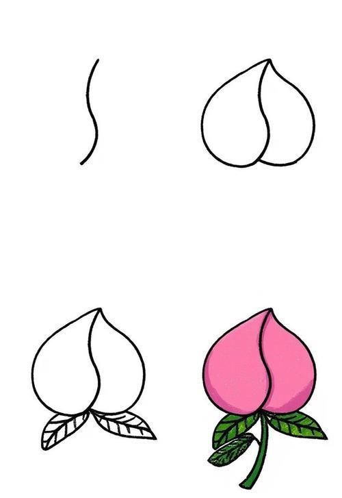 简笔画桃子来啦