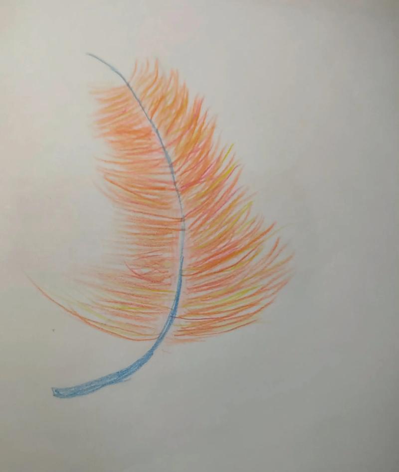 画羽毛简单而且效果不错一起来试试吧宝哥画儿童简笔画抖音