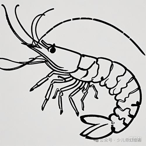 大虾简笔画活动教程