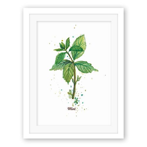 薄荷的绘画从教程到作品展示