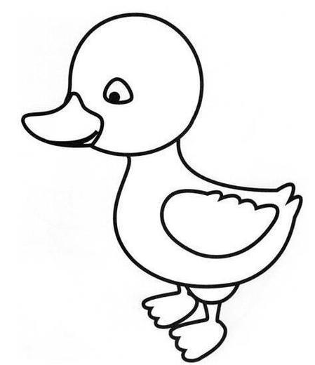 游泳的鸭子简笔画