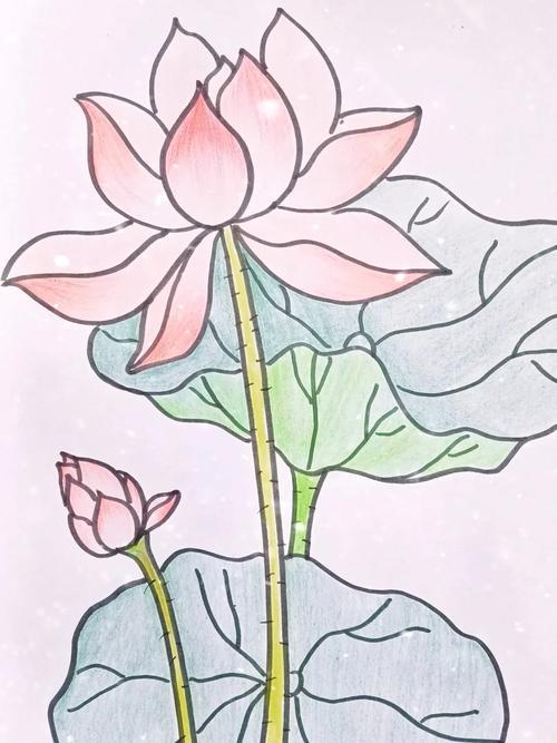 荷花简笔画