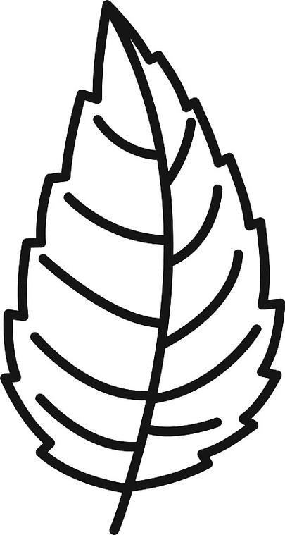 天然薄荷叶图标轮廓风格图片下载