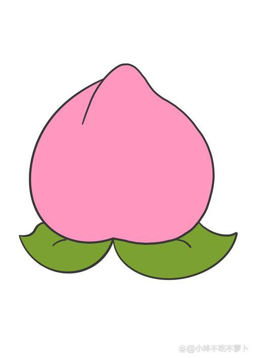 简笔画教程分享水蜜桃
