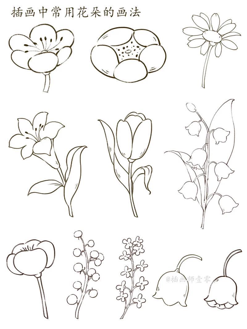 画画步骤花朵简笔画插画零基础学画画画画打卡抖音