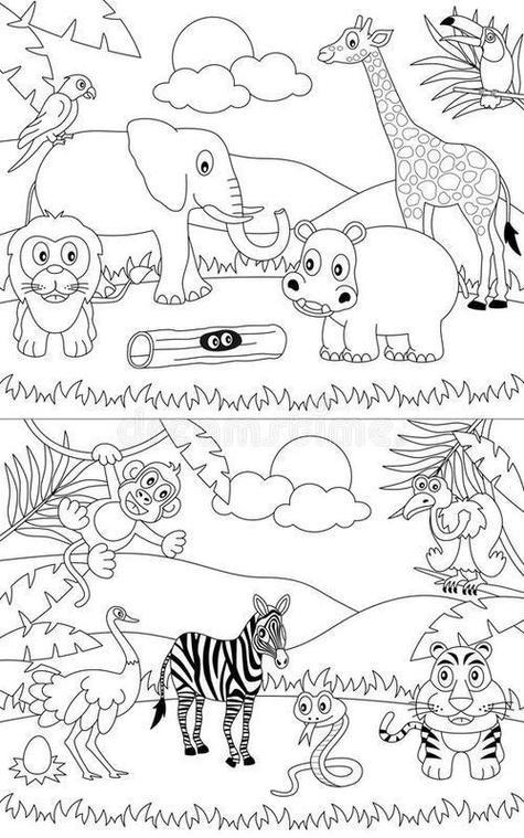 动物风景简笔画