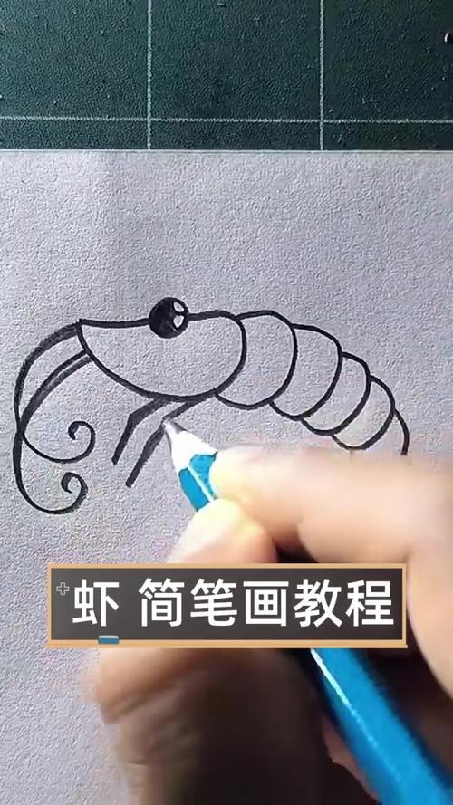 虾简笔画教程