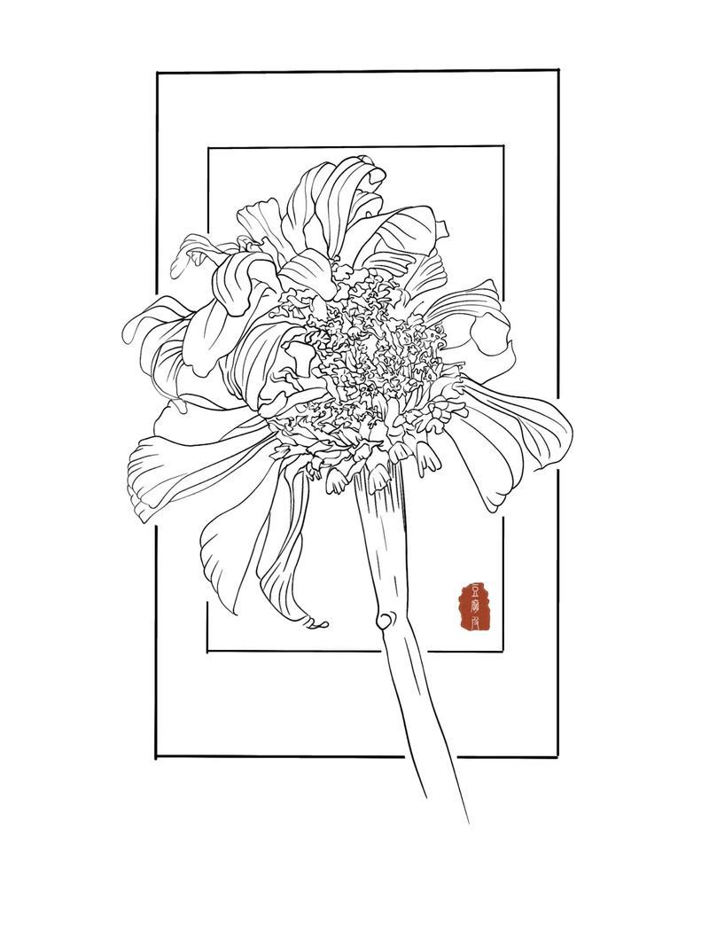 枯萎的花卉线稿一起学画画儿童简笔画线稿跟着抖抖音