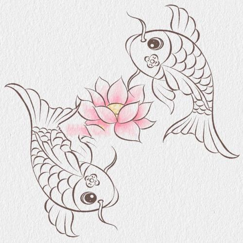 简笔画打卡第5天锦鲤戏莲