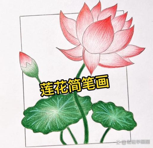 莲花简笔画