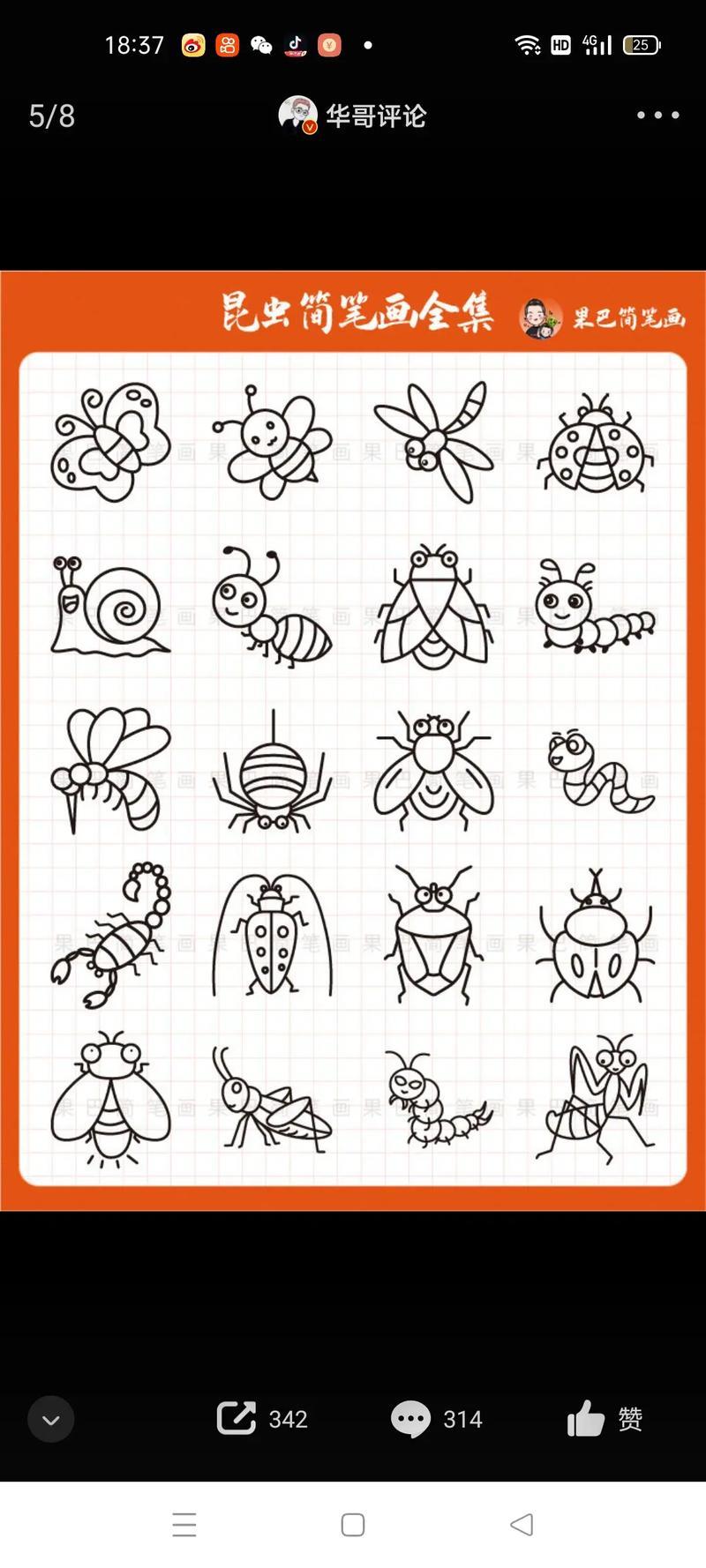 果巴简笔画华哥评论甲壳虫天牛58昆虫简笔画全集抖音