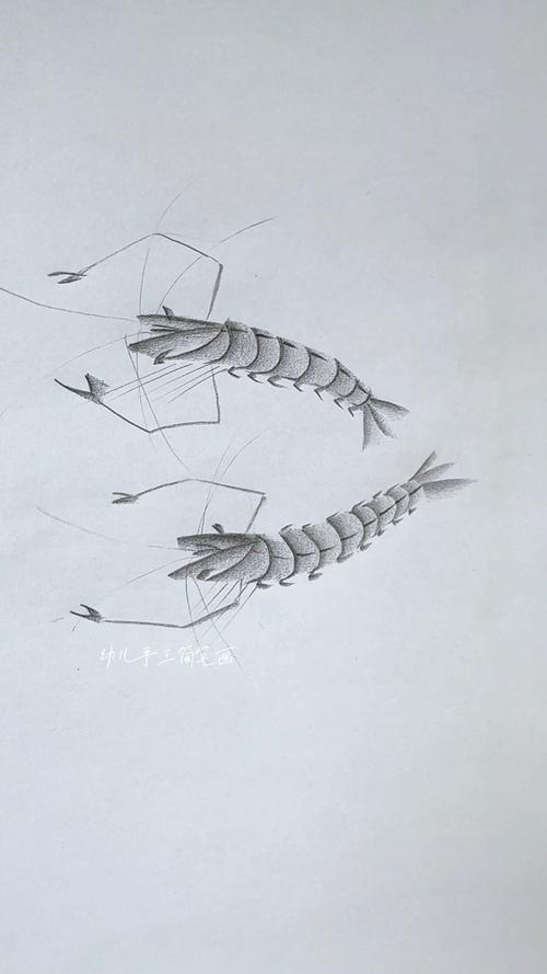 简单几步教你画大虾