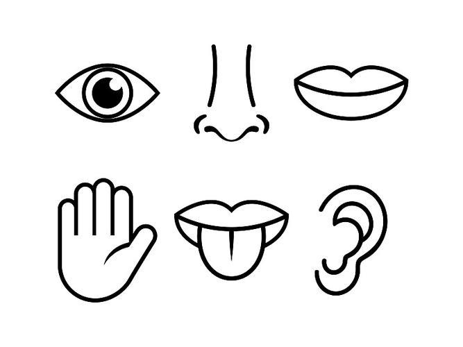 人体各部分人感眼鼻耳口手图片下载