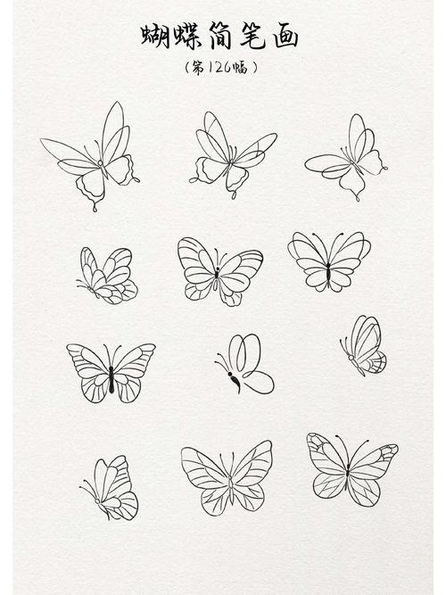 蝴蝶简笔画第126幅