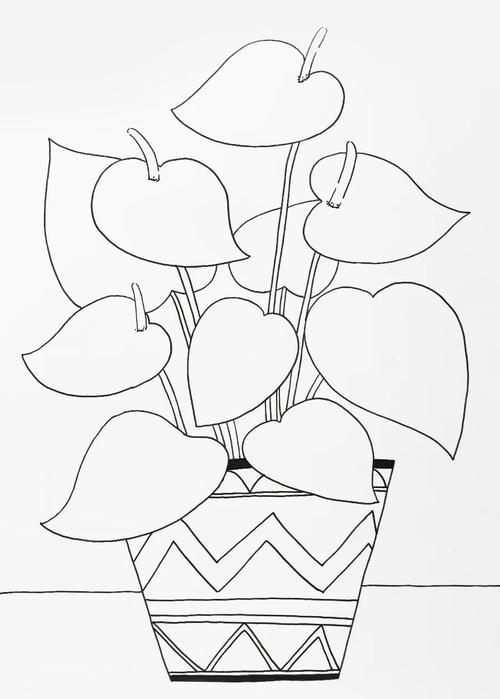 一盆盛开的红掌绘画小贴士1观察红掌的实物或图片用画笔描绘