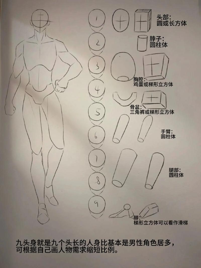 画人体结构如果能在脑子里立体化画人物的时候就会事半抖音