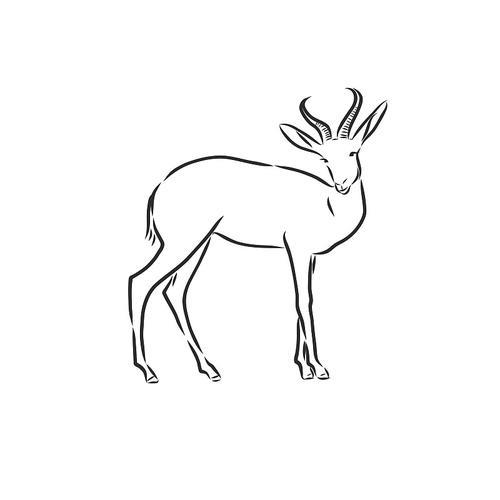 羚羊素描图形黑白绘图元素下载